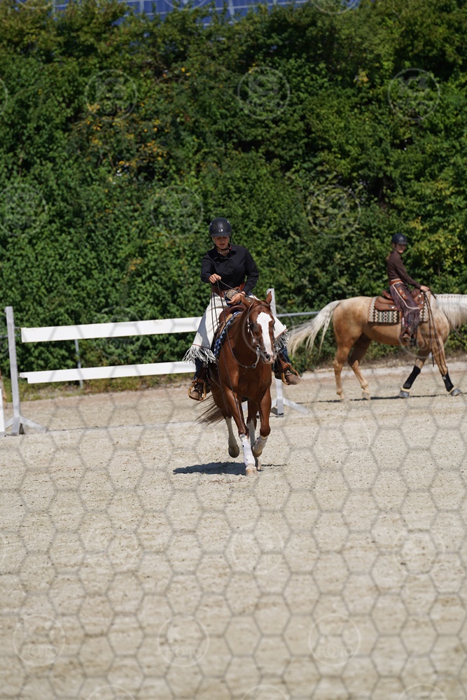 A7_08438.JPG